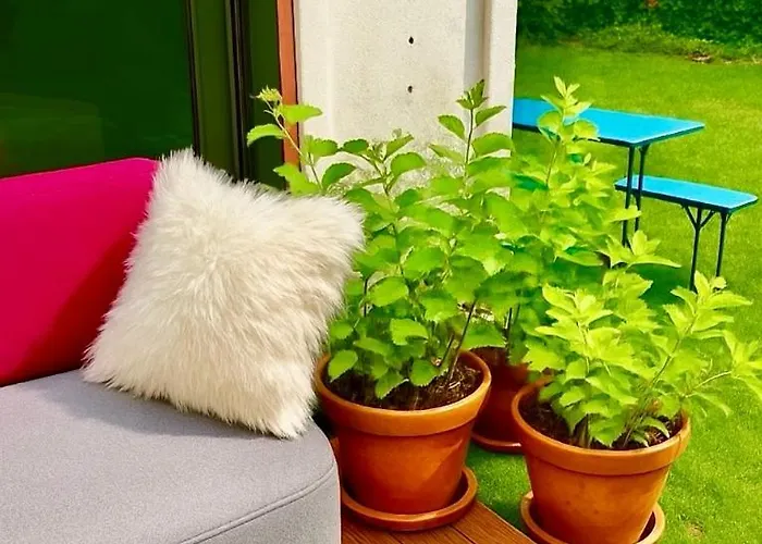 Designer Tiny House With Wraparound Sun Terrace & Garden Lounge Βερολίνο